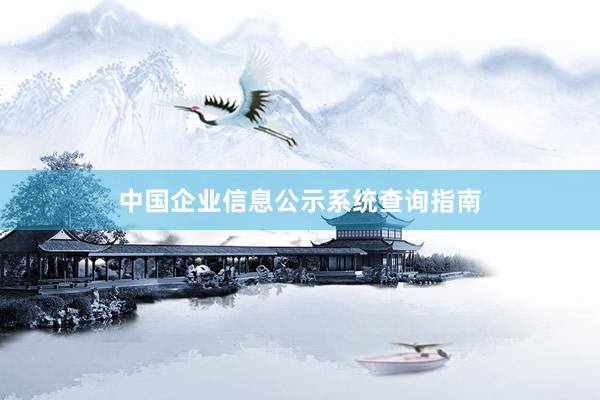 中国企业信息公示系统查询指南